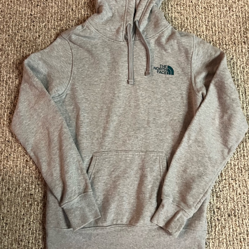 the north face hoodie